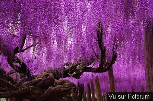 🎁 Bonus Fofocoins : La réponse surprise