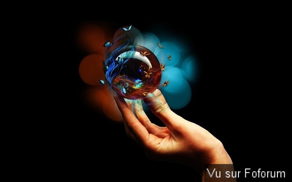 🎁 Bonus Fofocoins : La réponse surprise