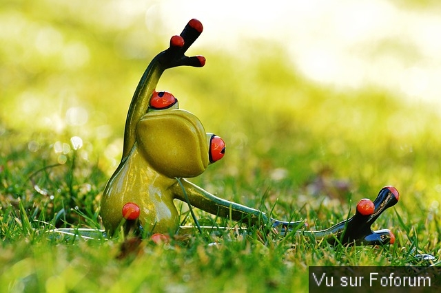 Poster n importe quoi qui vous fait plaisir ou vous fait rire, vous a étonné! Vidéo seulement ou short : jeu !