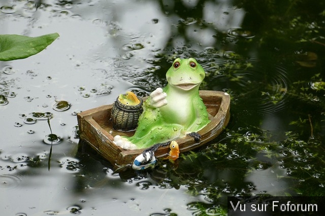 Poster n importe quoi qui vous fait plaisir ou vous fait rire, vous a étonné! Vidéo seulement ou short : jeu !