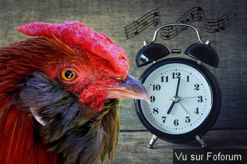 Poster n importe quoi qui vous fait plaisir ou vous fait rire, vous a étonné! Vidéo seulement ou short : jeu !