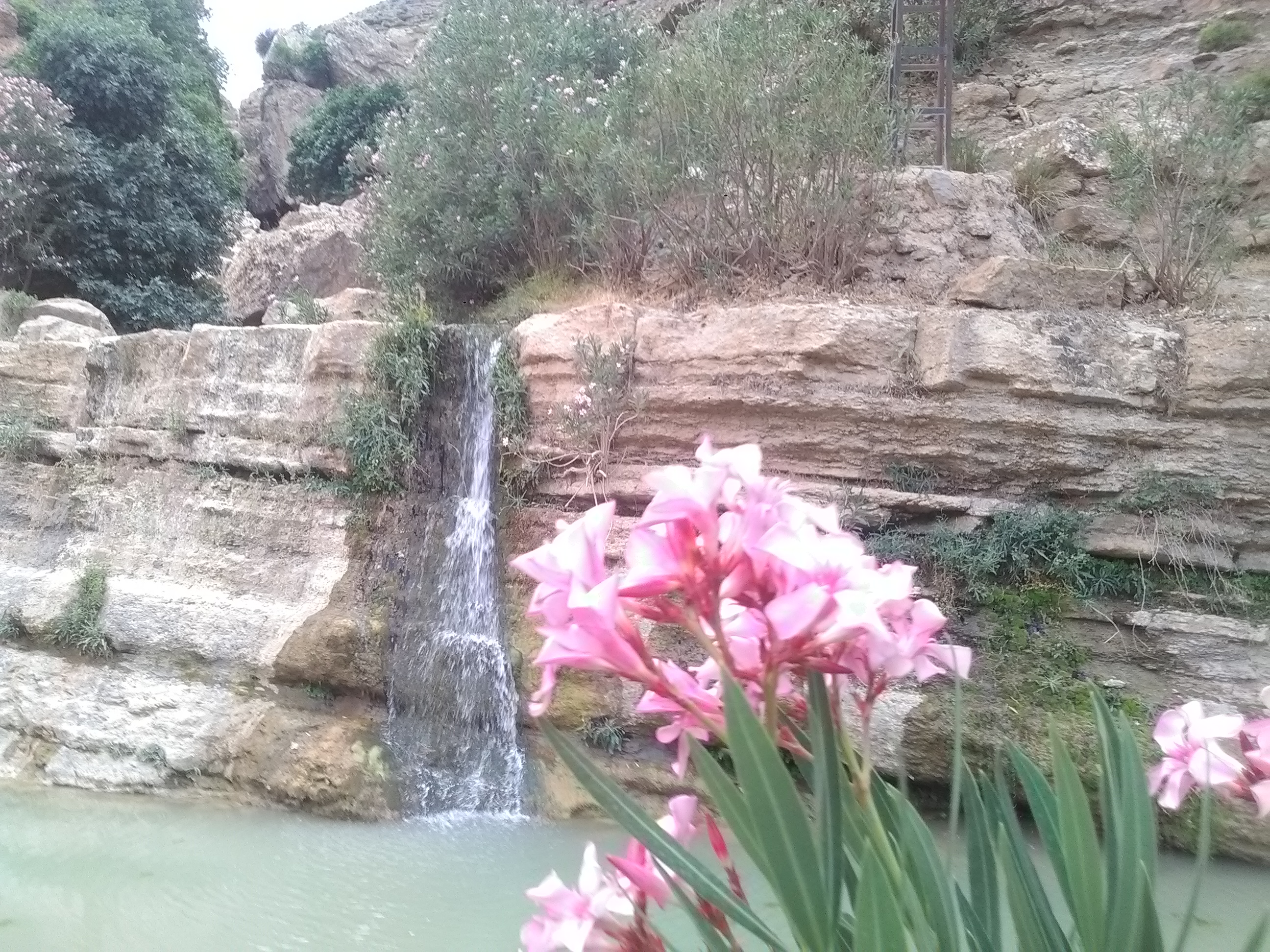 Mon grand pays : l'Algérie