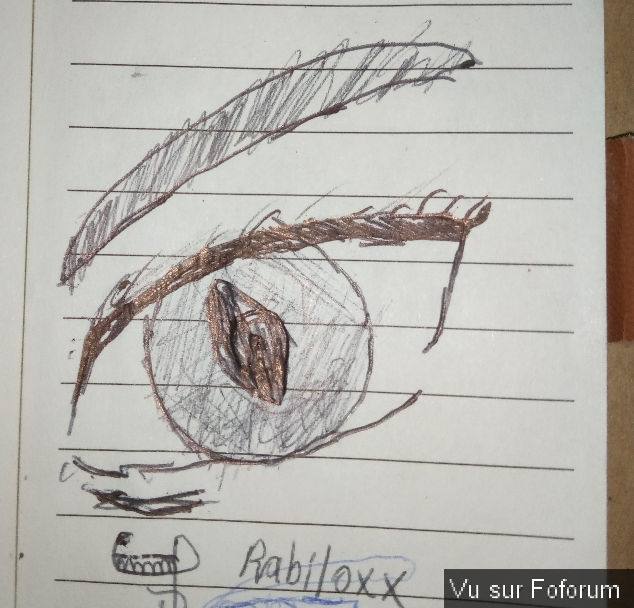 Mes dessins ( ah ouais 15 caractères )