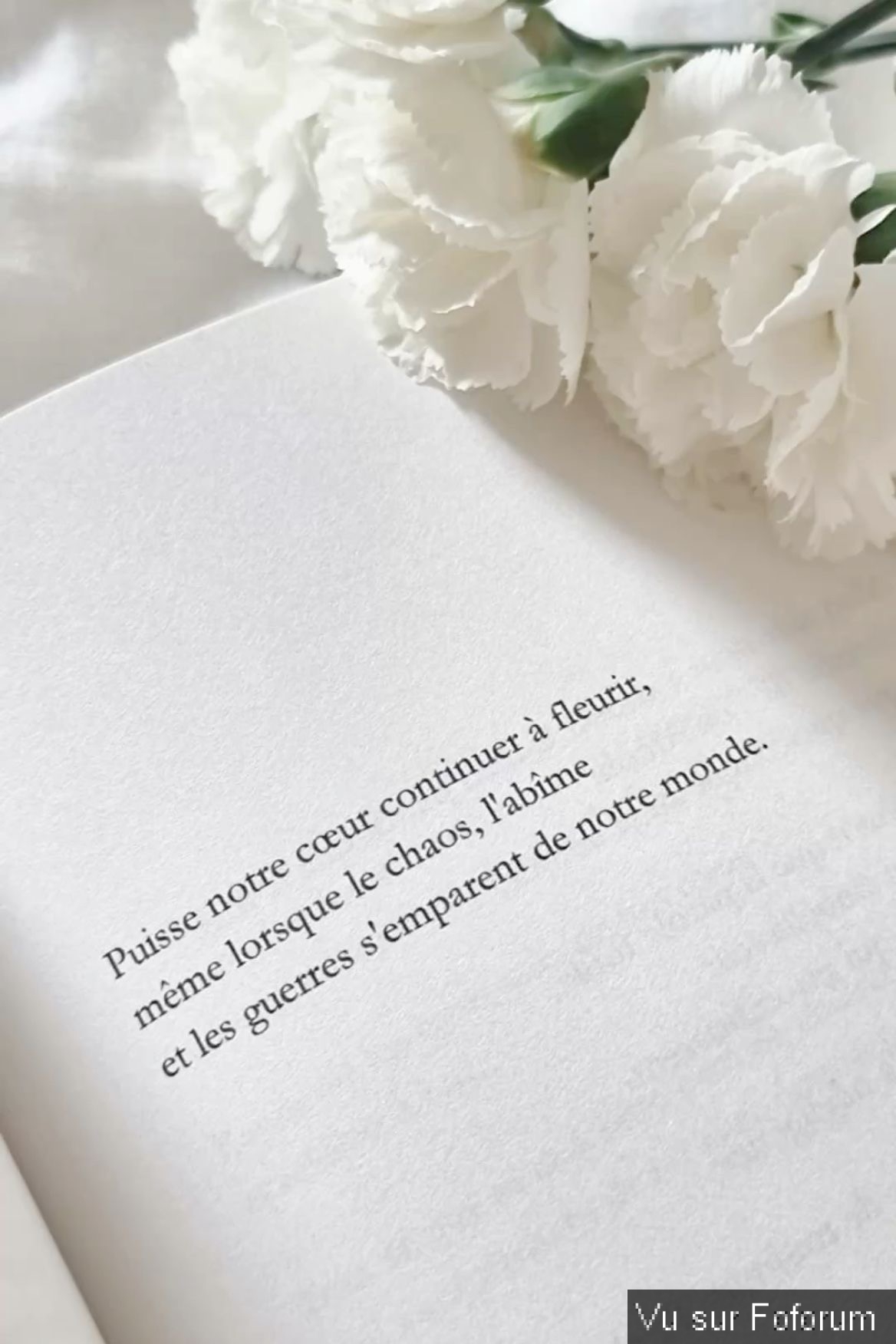 La pensée du jour...