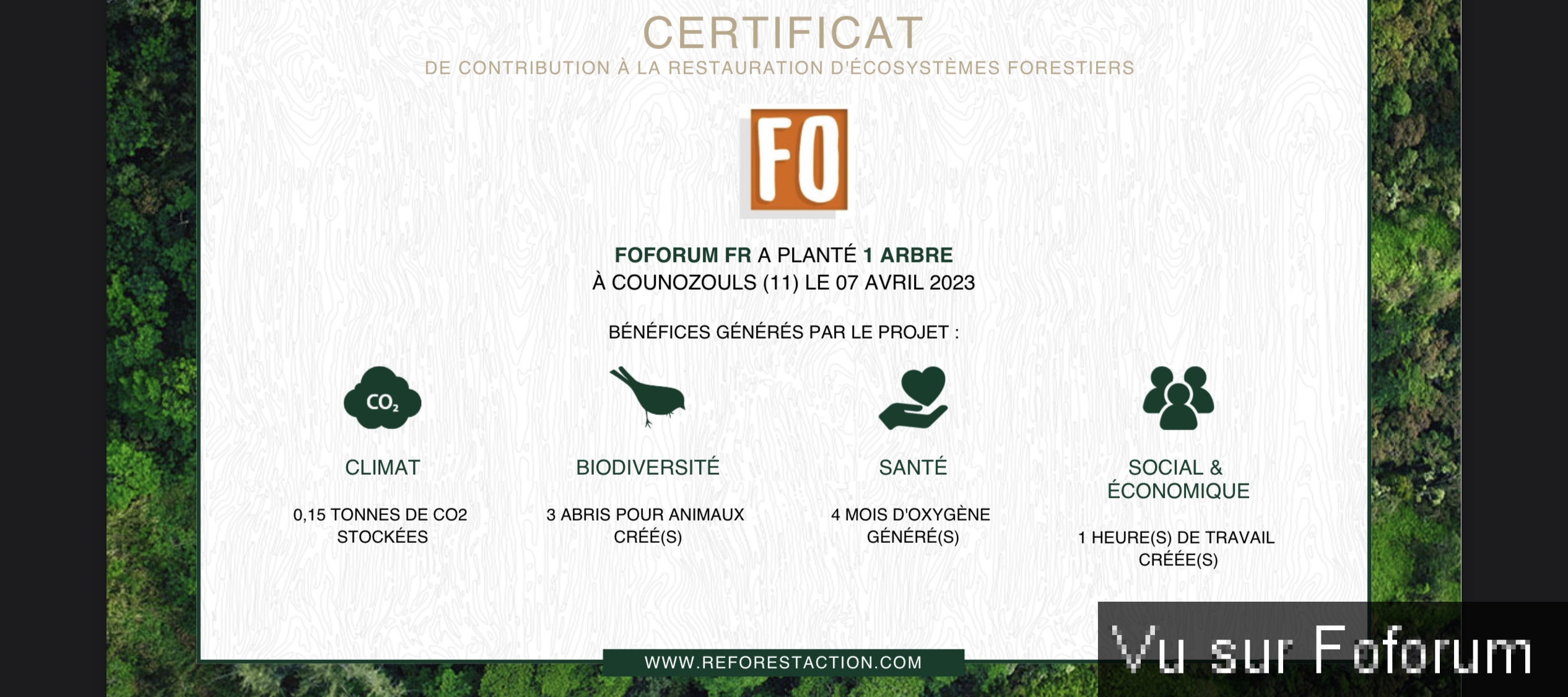 Nouvel achat : Plantation d'un arbre via Reforestaction 🌳