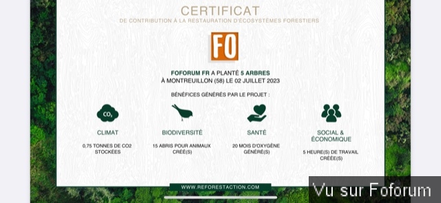 Nouvel achat : Plantation d'un arbre via Reforestaction 🌳