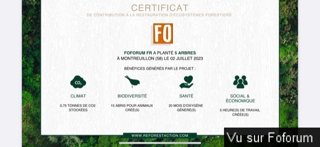 Nouvel achat : Plantation d'un arbre via Reforestaction 🌳