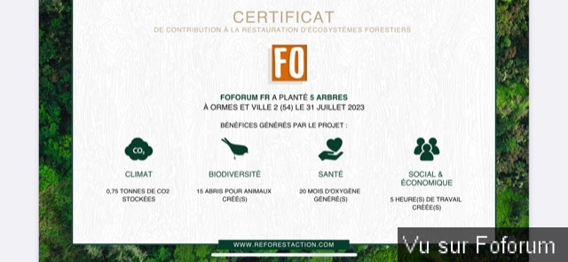 Nouvel achat : Plantation d'un arbre via Reforestaction 🌳