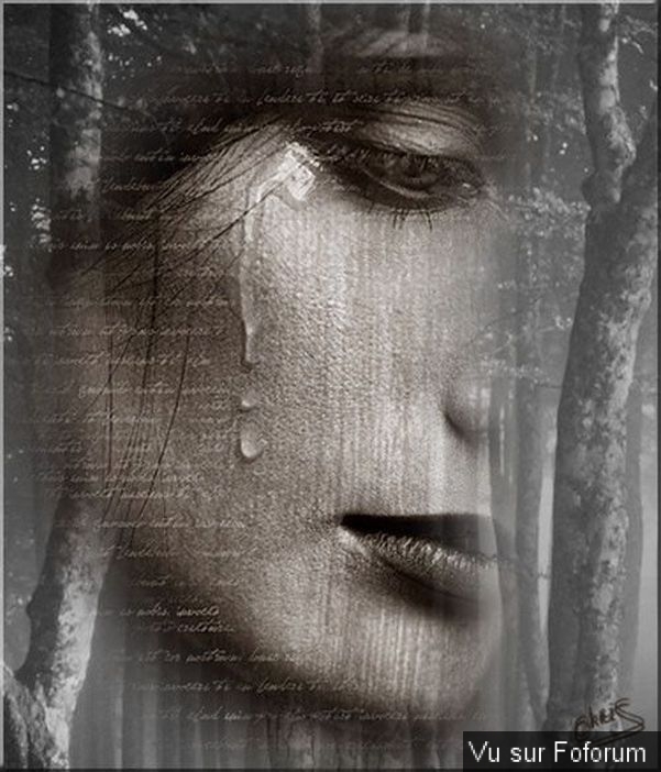 Poesie / beaux textes