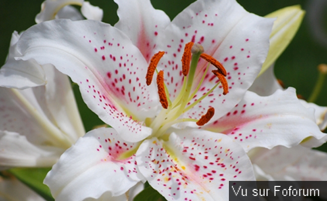 Une petite brise printanière