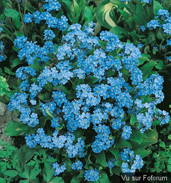 Une petite brise printanière