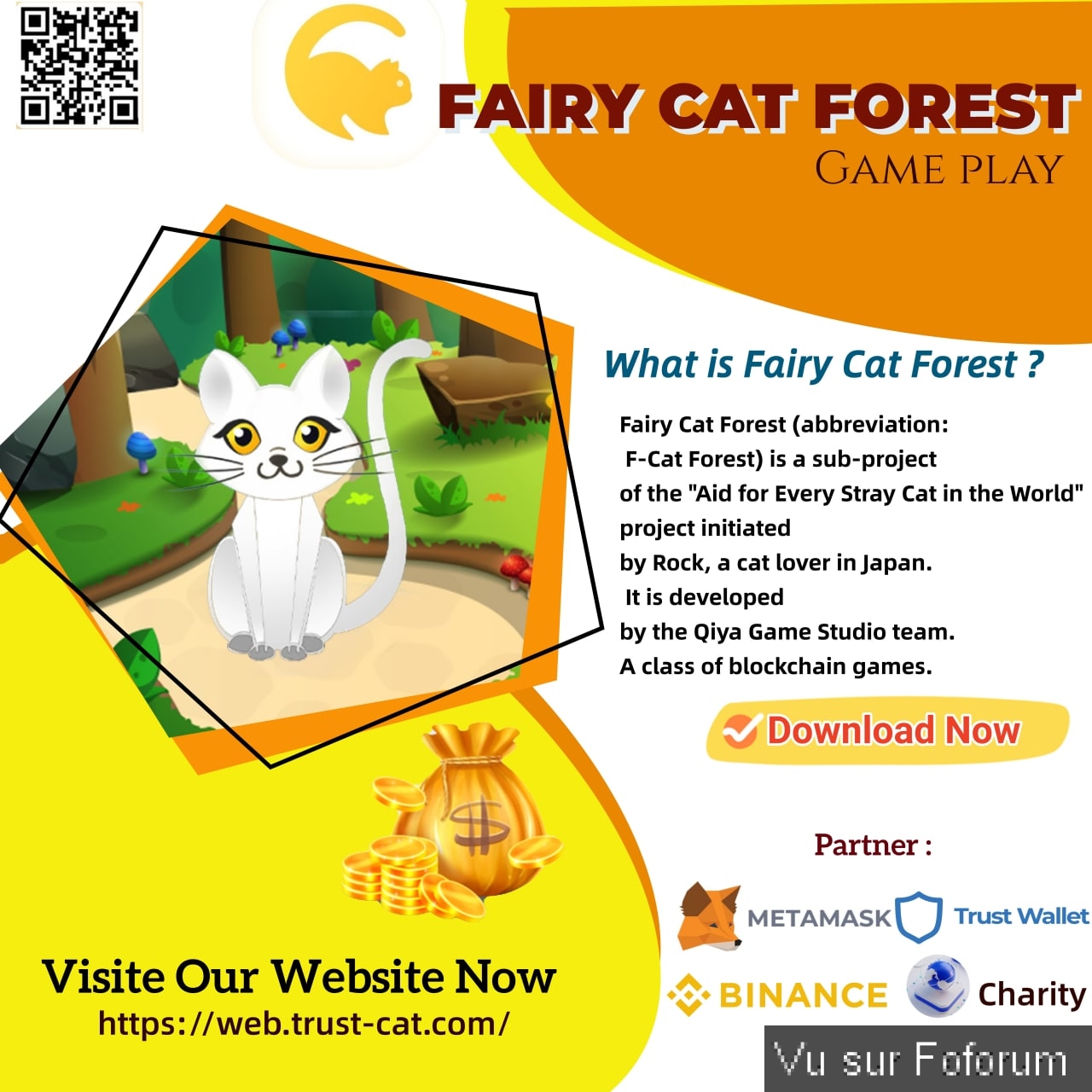 What is Fairy Cat Forest?, the hottest blockchain game today, earn while you play