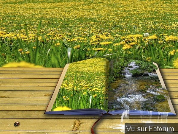 Poster n importe quoi qui vous fait plaisir ou vous fait rire, vous a étonné! Vidéo seulement ou short : jeu !