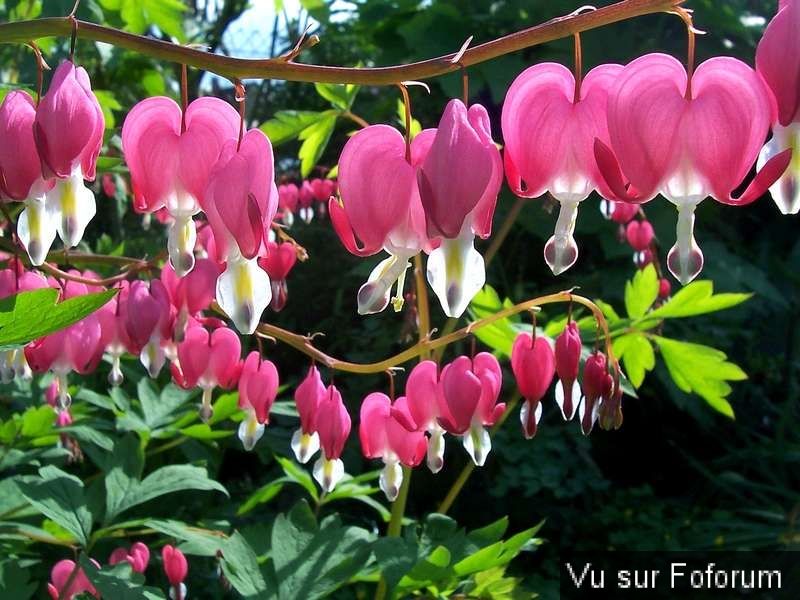 Une petite brise printanière