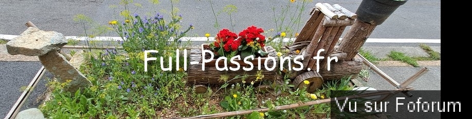 Full Passions par Capitaine Jack