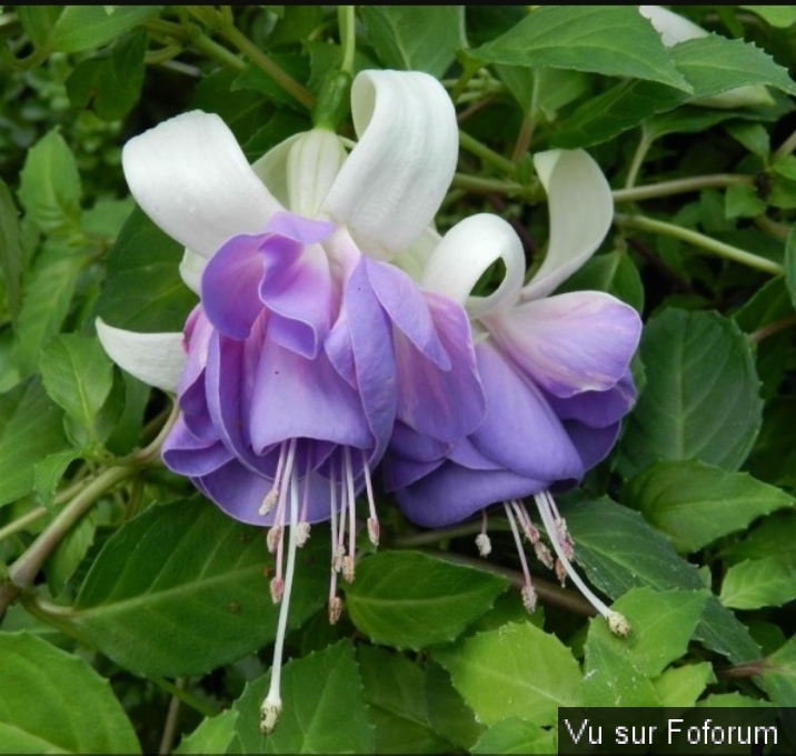 Une petite brise printanière