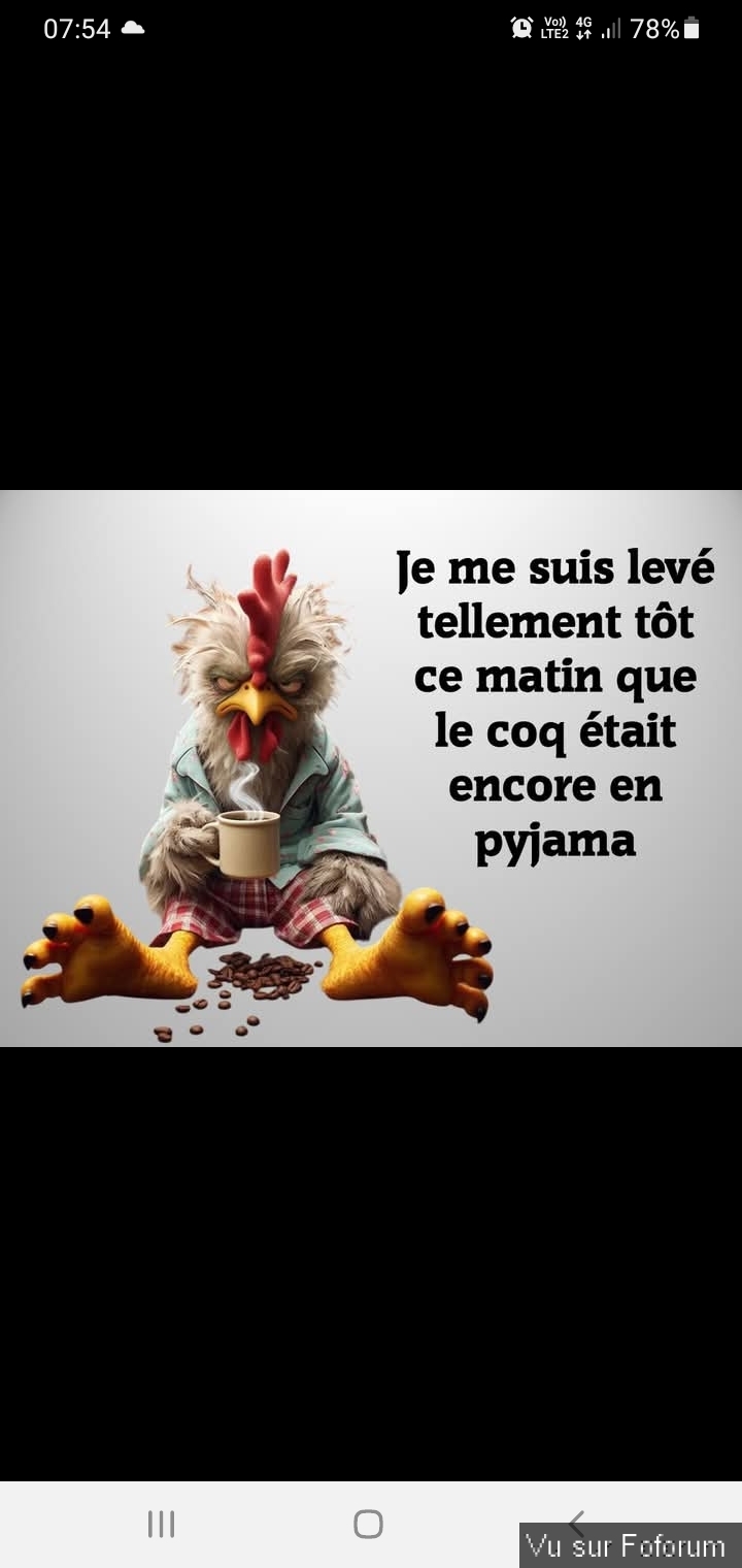 Poster n importe quoi qui vous fait plaisir ou vous fait rire, vous a étonné! Vidéo seulement ou short : jeu !