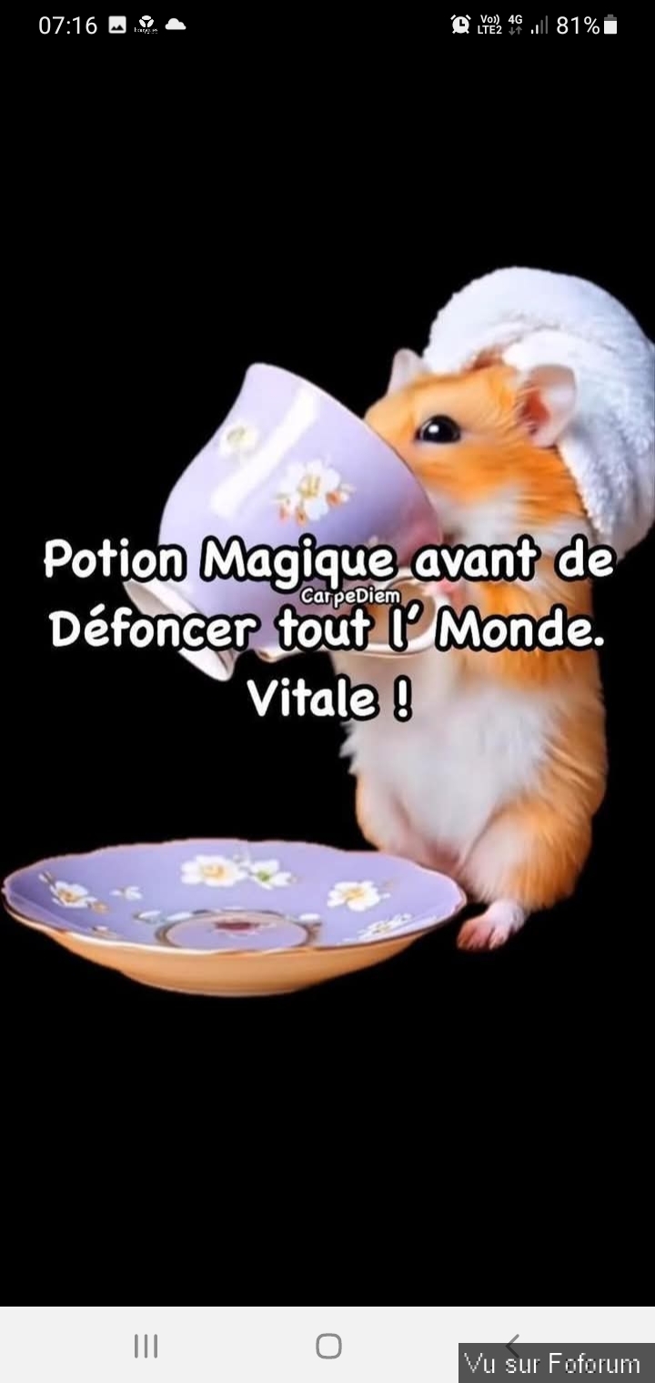 Poster n importe quoi qui vous fait plaisir ou vous fait rire, vous a étonné! Vidéo seulement ou short : jeu !