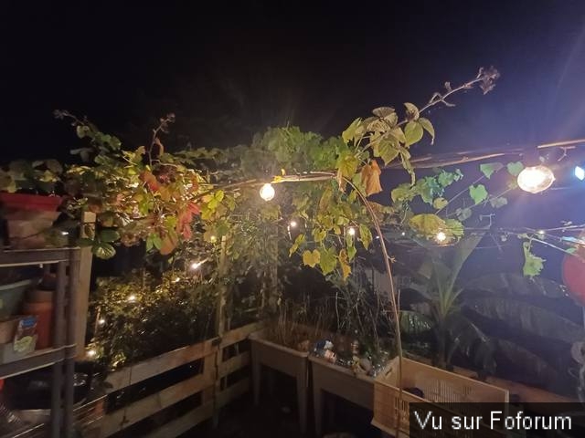 🎬 𝗣𝗛𝗢𝗧𝗢𝗦 𝗡𝗢𝗖𝗧𝗨𝗥𝗡𝗘𝗦 𝗣𝗮𝗿 𝗖𝗮𝗽𝗶𝘁𝗮𝗶𝗻𝗲 𝗝𝗮𝗰𝗸 🎬