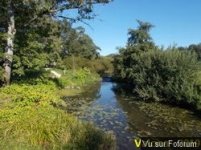 La métaphore en mycologie