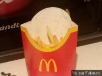 Manger macdo insect sur les frites