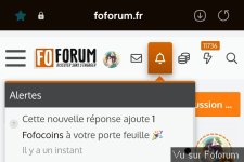 🎁 Bonus Fofocoins : La réponse surprise