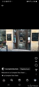 Comptoir des chats a Bordeaux.