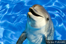 1751570681830.png