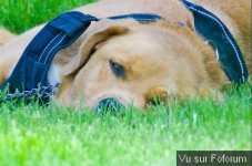 ☢️ Discussions autour du Rassemblement National