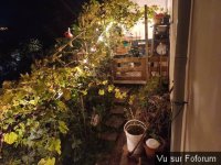 la montee du jardin de capitaine jack.jpg