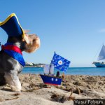 Recherche une image 🙂