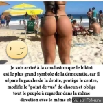 1784040544484.png