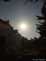 20260811_190339.jpg