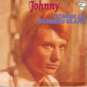 JOHNNY HALLYDAY.... comme un corbeau blanc ( 1973 )