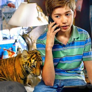 Un Tigre à Sauver | Film Complet en Français | Famille