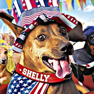 Shelly, un Chien en Or - FILM COMPLET en Français HD