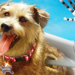 Robo-Dog - FILM COMPLET pour enfants en Français