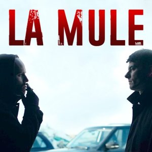 La mule - Film complet HD en français (Thriller, Policier, Crime)