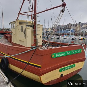 Reine de l' Arvor vu de derrière