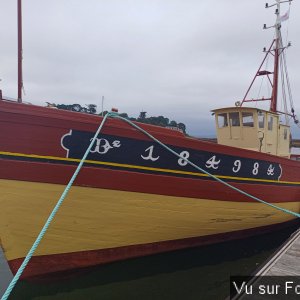 Reine de l' Arvor vue d'en face