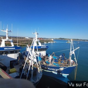 BELHARRA en couplé avec ARTEMIS