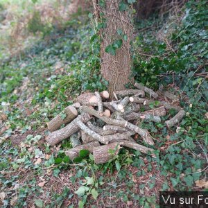 10 Petit stock de bois