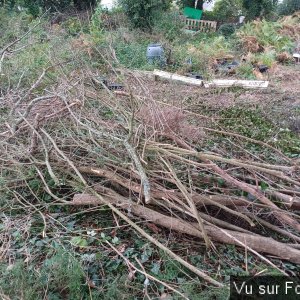 14 Bois sec prêt pour le barbecue