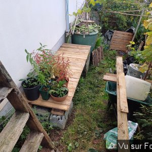 5 Coin plantes et rangement