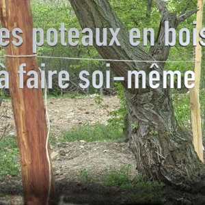 Des poteaux en bois à faire soi-même - Capitaine Jack