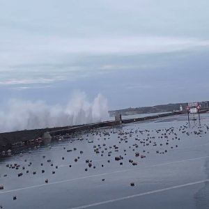 Arrivé pour pêcher à Camaret, c'est la CATASTROPHE - Capitaine Jack