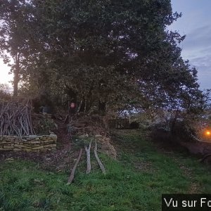 L'entrée du terrain - Capitaine Jack