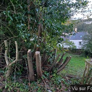 Ici aussi on va faire une haie sèche