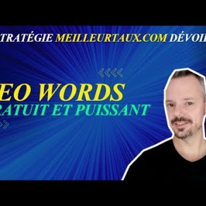 SEOWords.info : outil SEO GRATUIT pour améliorer ses contenus - Capitaine Jack