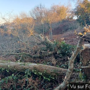 Il va rester des grosses sections - Capitaine Jack